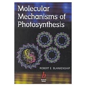 Molecular Mechanisms of Photosynthesis (Paperback)