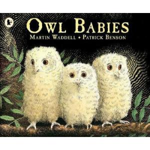 Owl Babies (Paperback New ed)