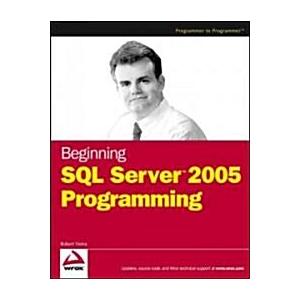 Beginning SQL Server 2005 Programming (Paperback)