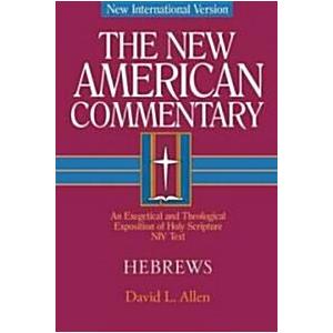 Hebrews: An Exegetical and Theological Exposition ...