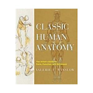 Classic Human Anatomy: The Artist's Guide to Form ...