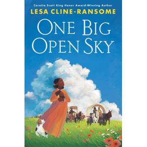 One Big Open Sky (Hardcover)