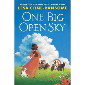 One Big Open Sky (Paperback)
