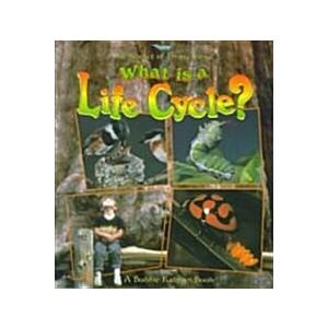 What Is a Life Cycle? (Paperback)