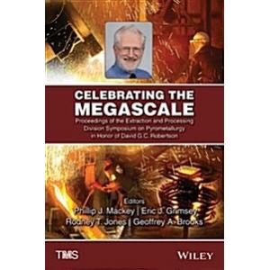 Celebrating the Megascale: Proceedings of the Extr...