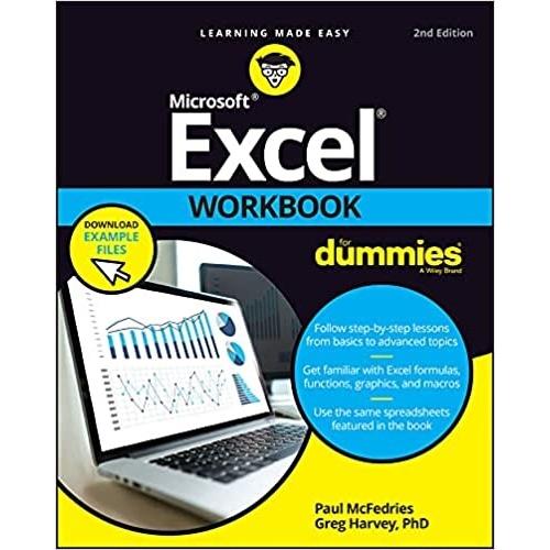 Excel Workbook for Dummies (Paperback 2)
