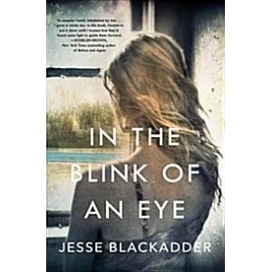In the Blink of an Eye (Hardcover)