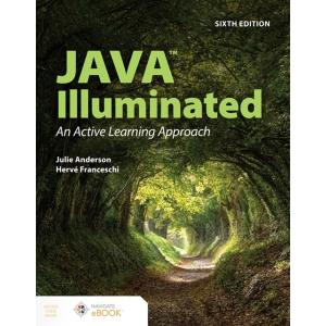 Java Illuminated (Paperback 6)