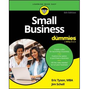 Small Business for Dummies (Paperback 6)