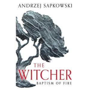 Baptism of Fire : Witcher 3 ? Now a major Netflix ...
