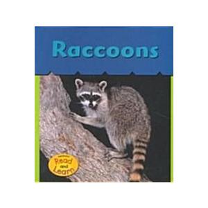 Raccoons (Paperback)