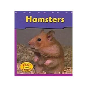 Hamsters (Paperback)