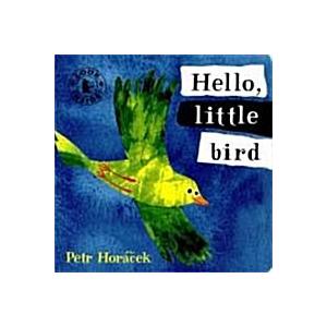 HELLO  LITTLE BIRD