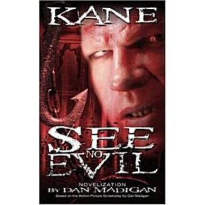 See No Evil (Paperback)