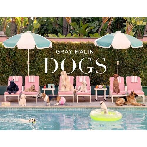 Gray Malin: Dogs: Photographs (Hardcover)