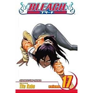 Bleach Vol. 17 (Paperback)