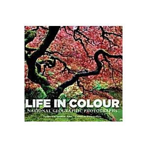 Life in Colour (Hardcover)