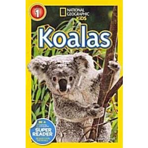 Koalas (Paperback)