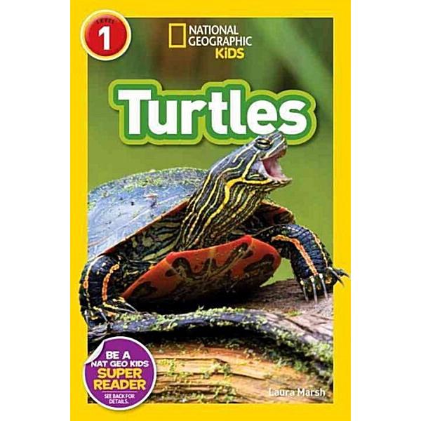 Turtles (Paperback)