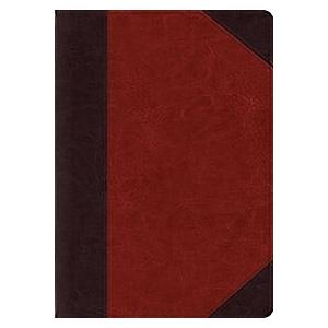 ESV Study Bible Large Print (Trutone Brown/Cordova...