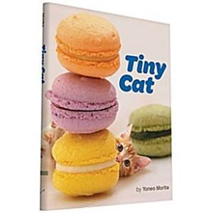 Tiny Cat (Hardcover)