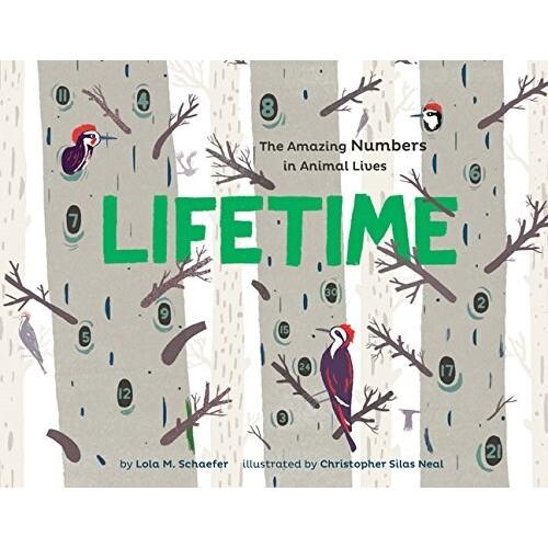 Lifetime: The Amazing Numbers in Animal Lives (Pap...
