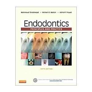Endodontics : Principles and Practice (Hardcover 5 Revised edition)