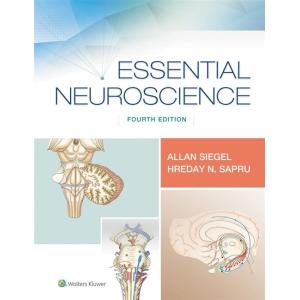 Essential Neuroscience (Paperback 4)