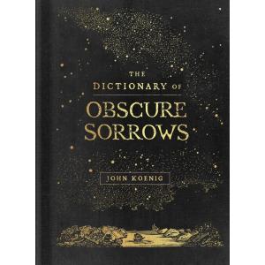 The Dictionary of Obscure Sorrows (Hardcover)