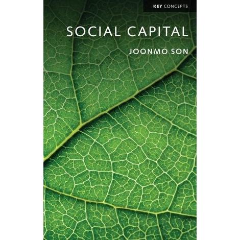 Social Capital (Paperback)