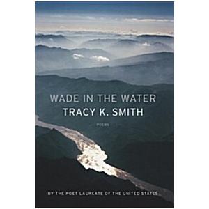 Wade in the Water: Poems (Paperback)