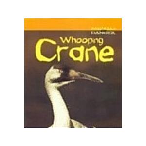 Whooping Crane (Paperback)
