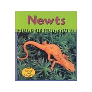 Newts (Paperback)