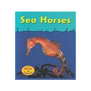 Sea Horses (Paperback)