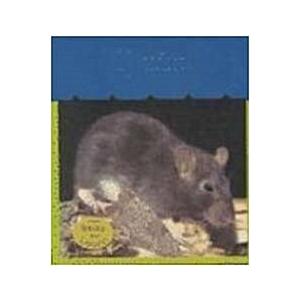 Rats (Library)