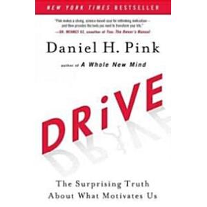 Drive: The Surprising Truth about What Motivates U...