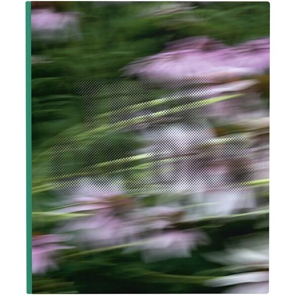 Zora J Murff: True Colors (Or Affirmations in a Cr...