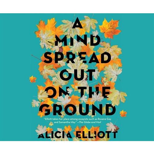 A Mind Spread Out on the Ground (Audio CD)