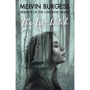 The Lost Witch (Paperback)