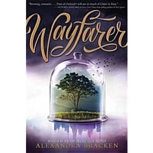 Wayfarer: Book 2: From the Number One bestselling ...
