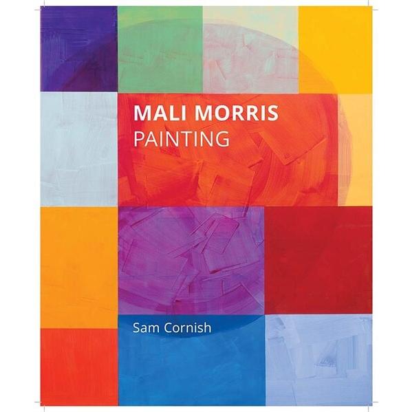 Mali Morris : Painting (Hardcover)