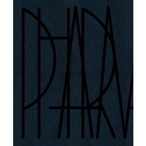 Pharmakon (Paperback)