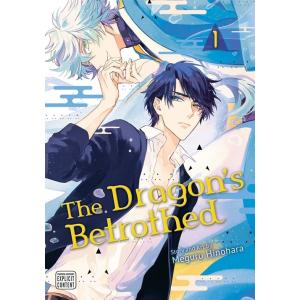 The Dragon's Betrothed Vol. 1 (Paperback)