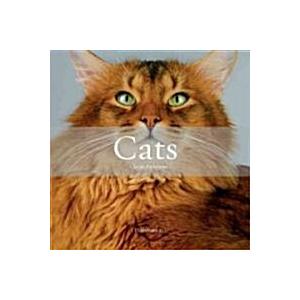 Cats (Hardcover BOX)