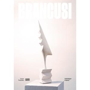 Brancusi (Hardcover)