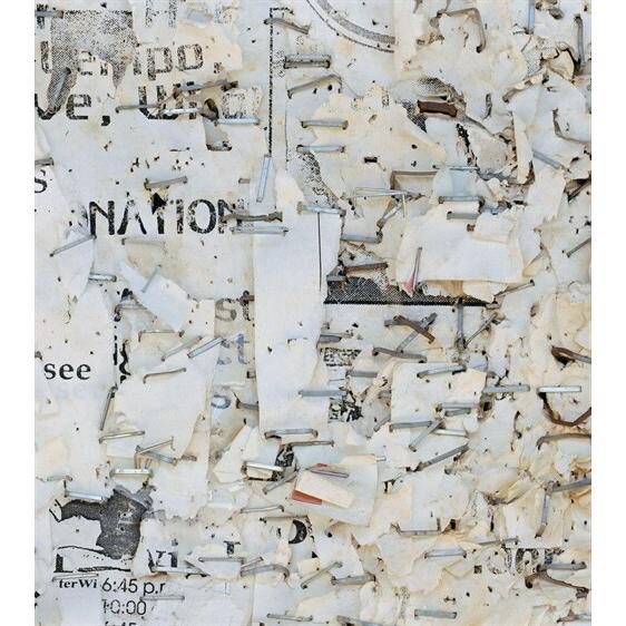 Mitch Epstein: Property Rights (Hardcover)