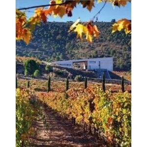 The World Winery Collection: Innovative Design Sus...