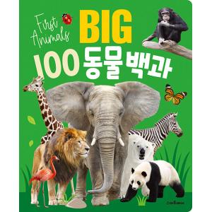 韓国語 幼児向け 本 『Big 100動物百科』 韓国本