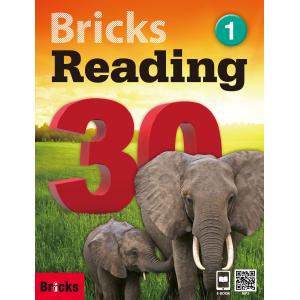 Bricks Reading 30 Level ...の商品画像