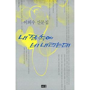 韓国語 本 『それは私の睡眠の中で雨が降っています。』 韓国本